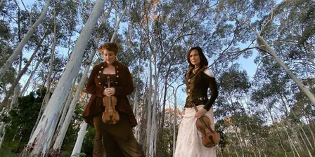 Fiddles in the Forest
