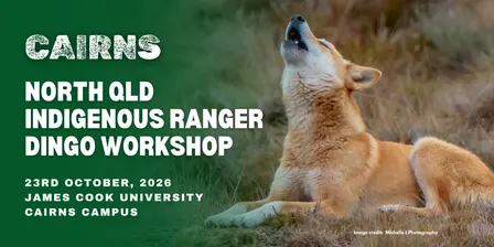 Cairns - North Queensland Indigenous Ranger Dingo Workshop 2026