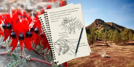Stories, Sketches & Stillness
