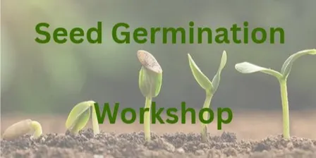 Food Sustainability: Seed Germination Demo