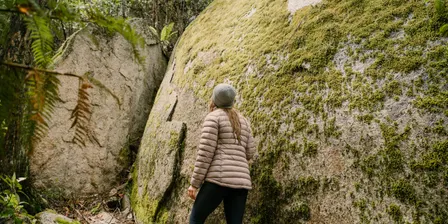 Recharge in nature - a 3hr forest therapy immersion