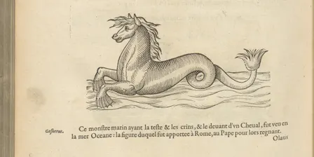 Discover Rare Books and Special Collections: Weird & Wonderful