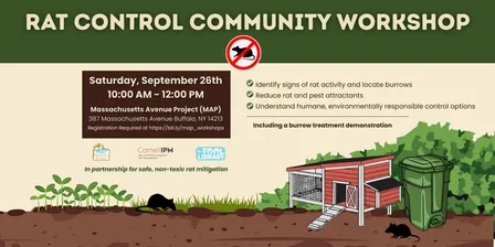 Rat Control Community Workshop - September 2026