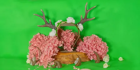 School Holidays | 3D Modelling for Kids: Halloween Horns (Ages 8-12)