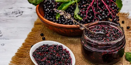 Everything Elderberry
