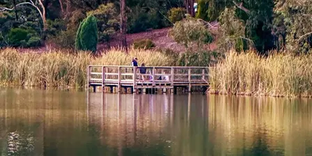 Forest Bathing | Lake Esmond Botanical Park | Sunday 6th December 2026