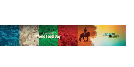 Innovate today. Nourish tomorrow: Exploring LISAF’s Research