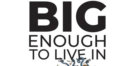Stories Big Enough to Live In - with Dr. Janice, The Story Medic