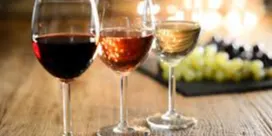 Homemade Wine Tasting Contest