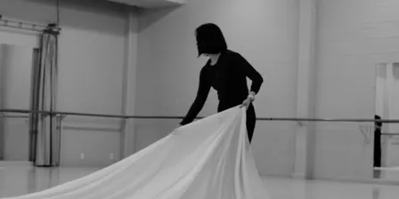 Terpsichore in Silk