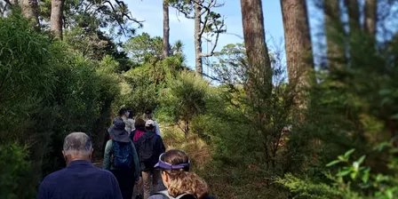 Discover Totara Park, Blind Low Vision Walk