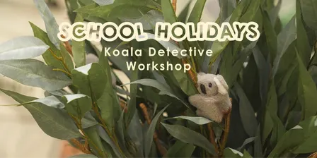 Koala Detective Workshop