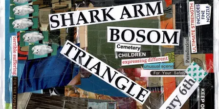 BOSOM, TRIANGLE, SHARK ARM (let’s try this again)