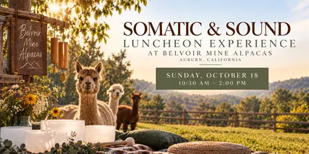 Somatic & Sound Luncheon Experience with Alpacas!