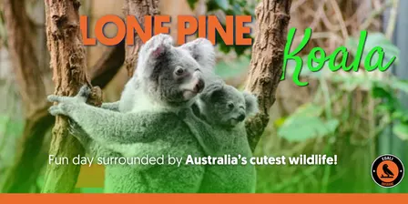 Lone Pine Koala Sanctuary with Egali