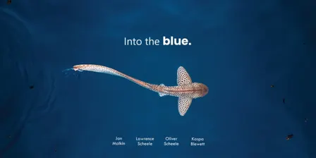 Into the Blue Opening Night