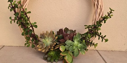 Succulent Christmas Wreath Making Workshop