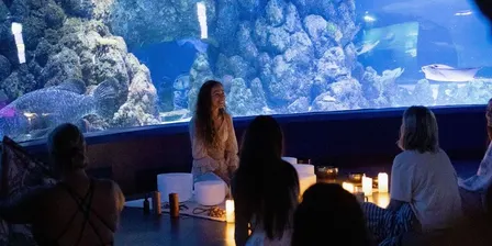 Ocean of Sound - Under Water Sound Healing Immersion
