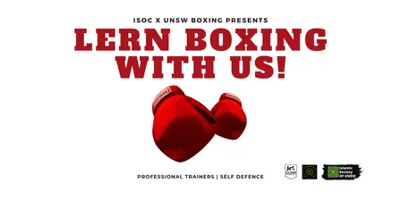 Learn to Box - T3 2026