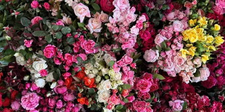 Australian Rose Industry Seminar 2026