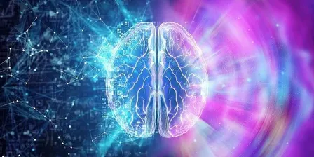 Dialectical Behaviour Therapy (DBT) Tools - ONE DAY COURSE (22 Oct)