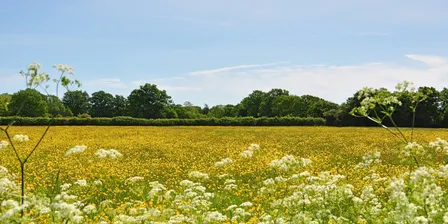 LENS Training Event - Rookery Farm, Diss