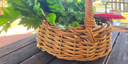 Growing Together Organically
