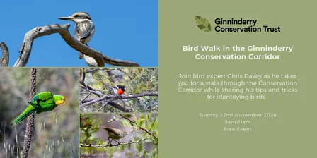 Spring Bird Walk with Chris Davey