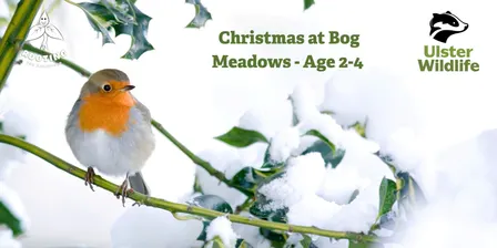 Christmas at Bog Meadows with Rooting for Childhood - age 2-4