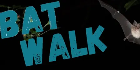 Bat Walk 17 Sept 2026