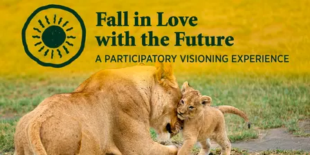 Fall in Love with the Future: A Participatory Visioning Experience