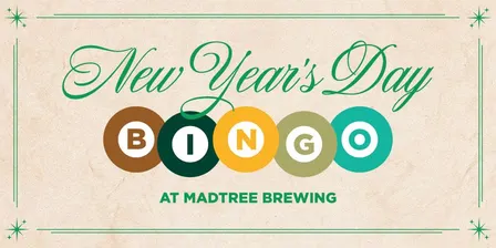 New Years Bingo 2027
