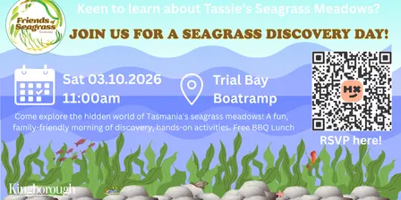 Seagrass Discovery Day _Trial Bay