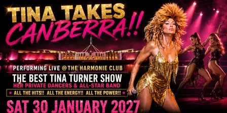 The Best Tina Turner Show