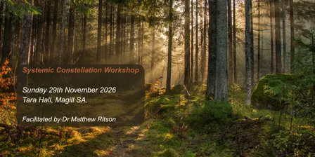 Systemic Constellation Workshop - Sunday, 29th November 2026