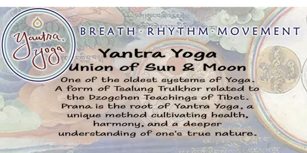 Yantra Yoga Hobart full-day workshop November 29 2026