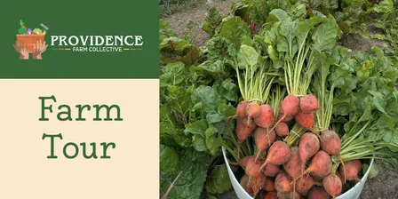Food with Dignity at Providence Farm Collective