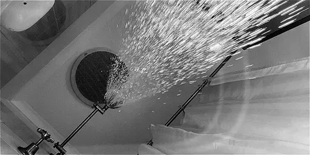 More Songs from Under the Shower