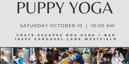 Puppy Yoga at the DogBar