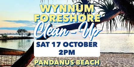 Wynnum Foreshore Community Clean Up