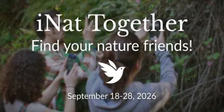 iNat Together — Introductory Outdoor Workshop in Pakapakanthi