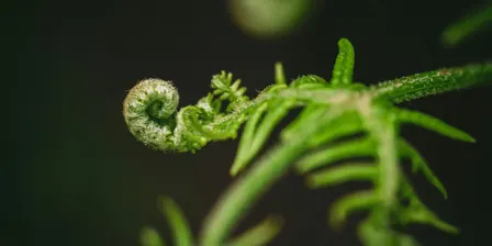 The CGCtech meetup (clean / green / climate) - social session