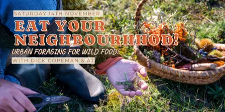 Eat Your Neighbourhood! Urban Foraging for Wild Food