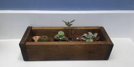Make a planter box