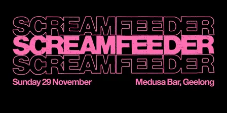 Screamfeeder at Medusa Bar