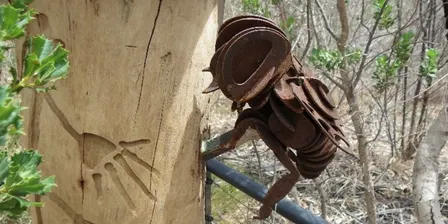 Bee Hotel Workshop with WA Loves Nature