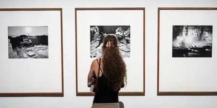 Art in Focus | NEW26
