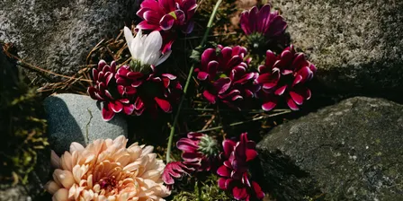 What We Carry: A Nature-Based Community Grief Circle