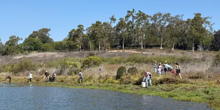 Coastal Cleanup Day at Upper Newport Bay