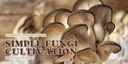Simple Fungi Cultivation with Heath Reid